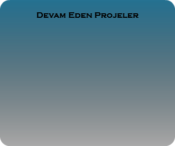 
Devam Eden Projeler